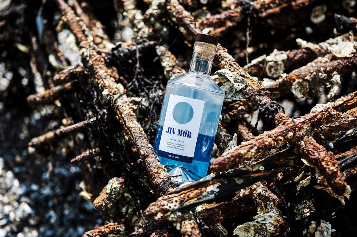 光瓶酒包裝設(shè)計(jì)(圖4)