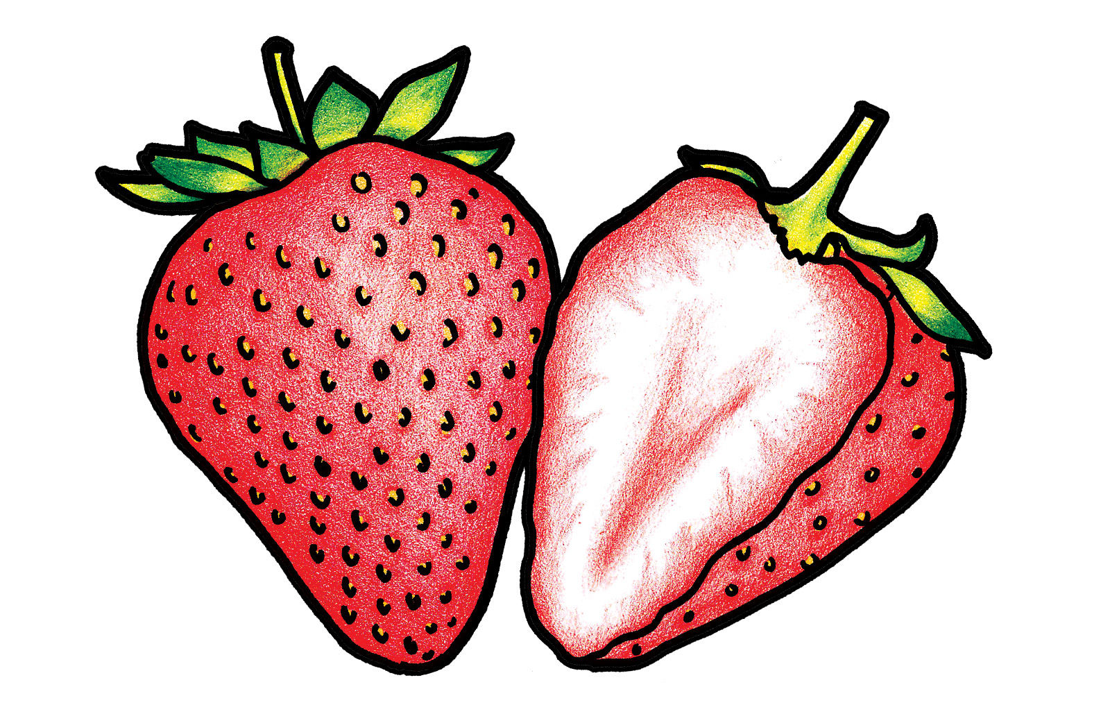 果干包裝設(shè)計(jì)說明(圖5)