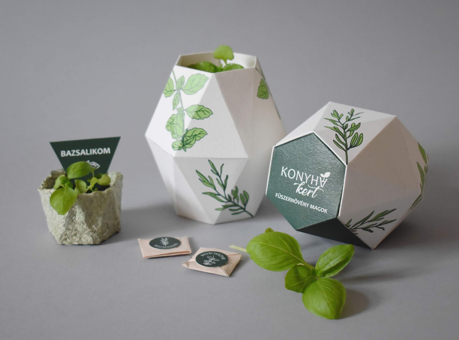 鮮花種子禮盒包裝設(shè)計(jì)(圖4)