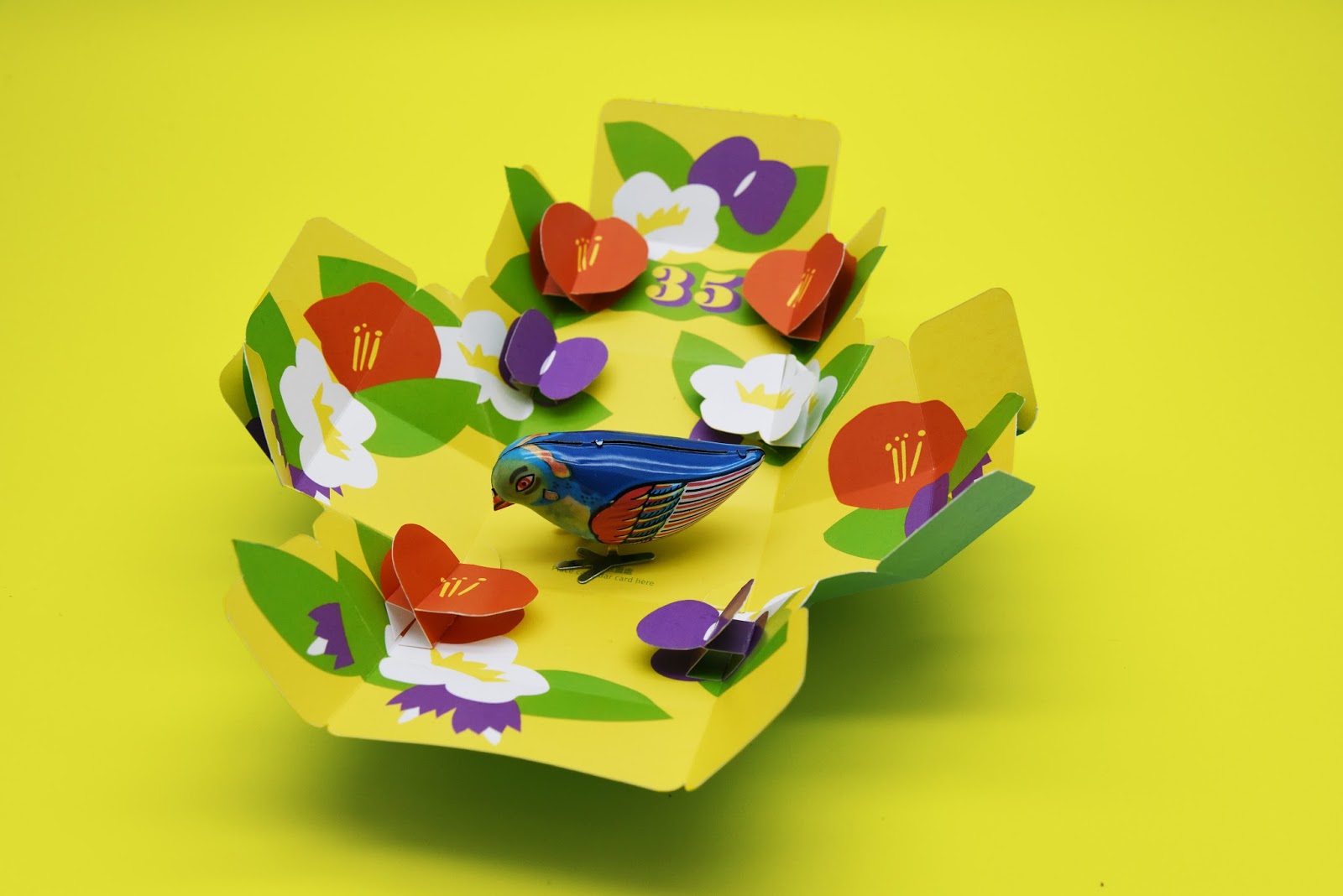 煙臺玩具包裝設(shè)計(圖6)