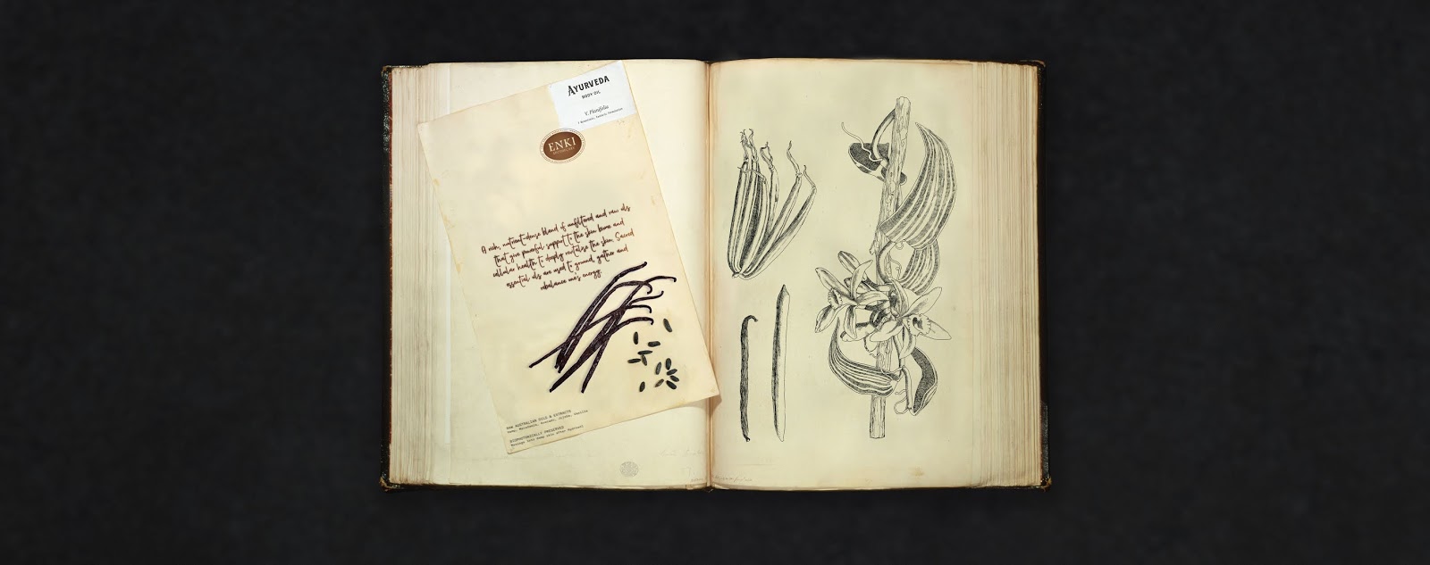 南昌禮盒設(shè)計(jì)-南昌禮盒設(shè)計(jì)公司(圖5)