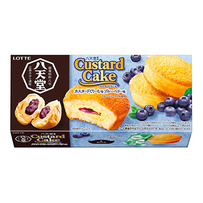 藍(lán)莓奶油蛋糕包裝設(shè)計(jì)(圖1)