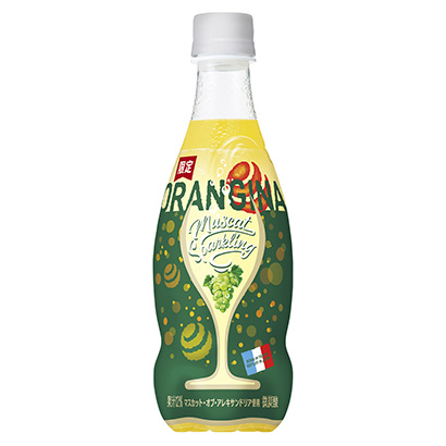 烏魯木齊食品飲料包裝設(shè)計(jì)(圖1)