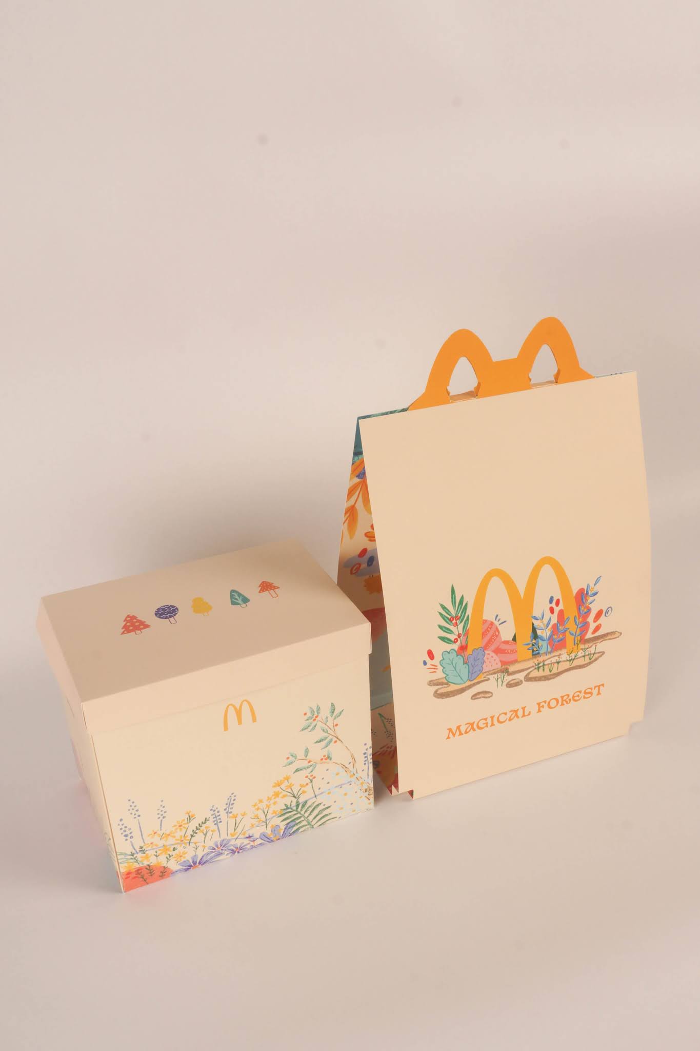 插畫(huà)食品快餐外賣(mài)包裝設(shè)計(jì)(圖6)