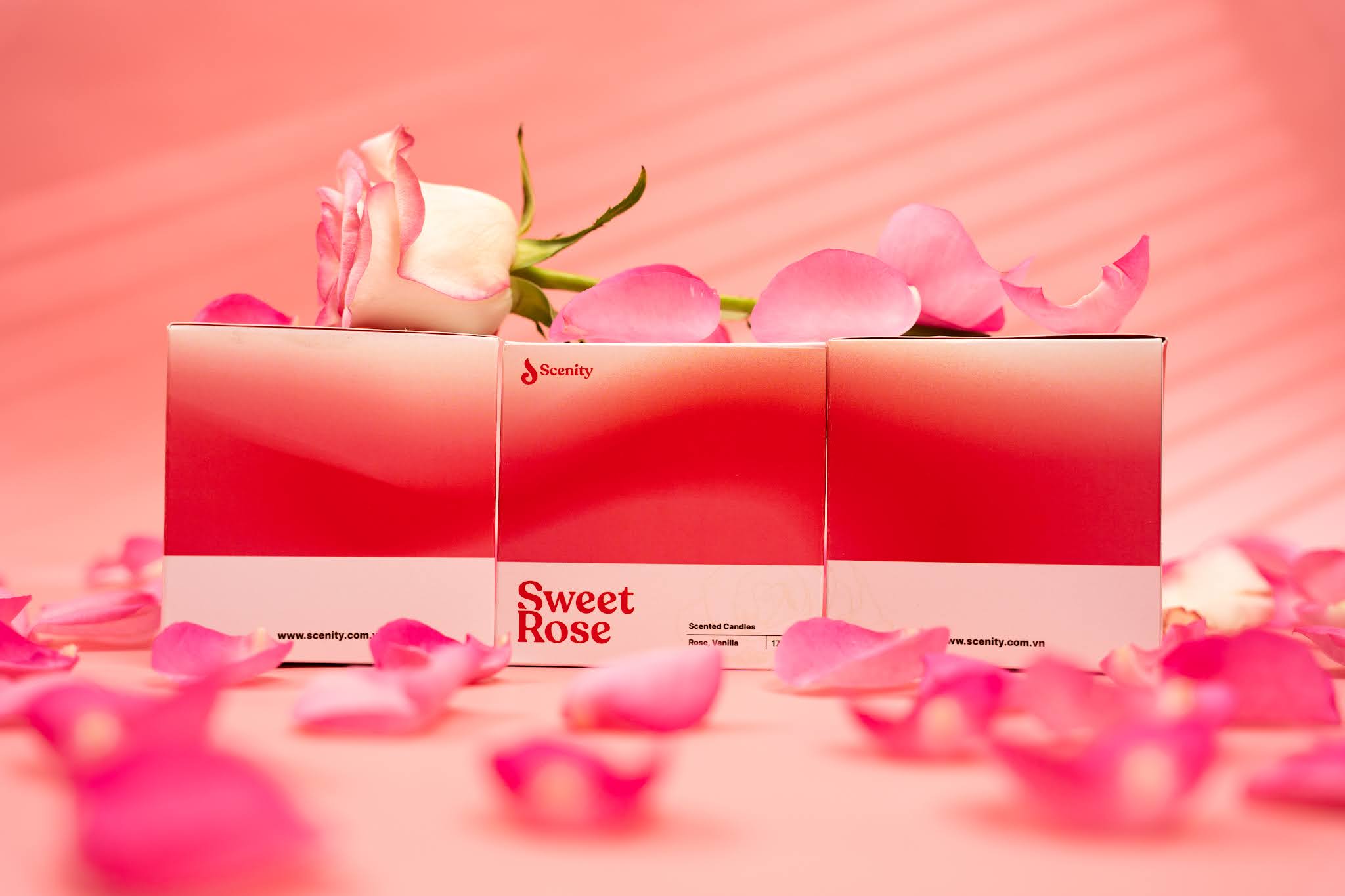 香薰品牌的包裝怎么設計(圖3)