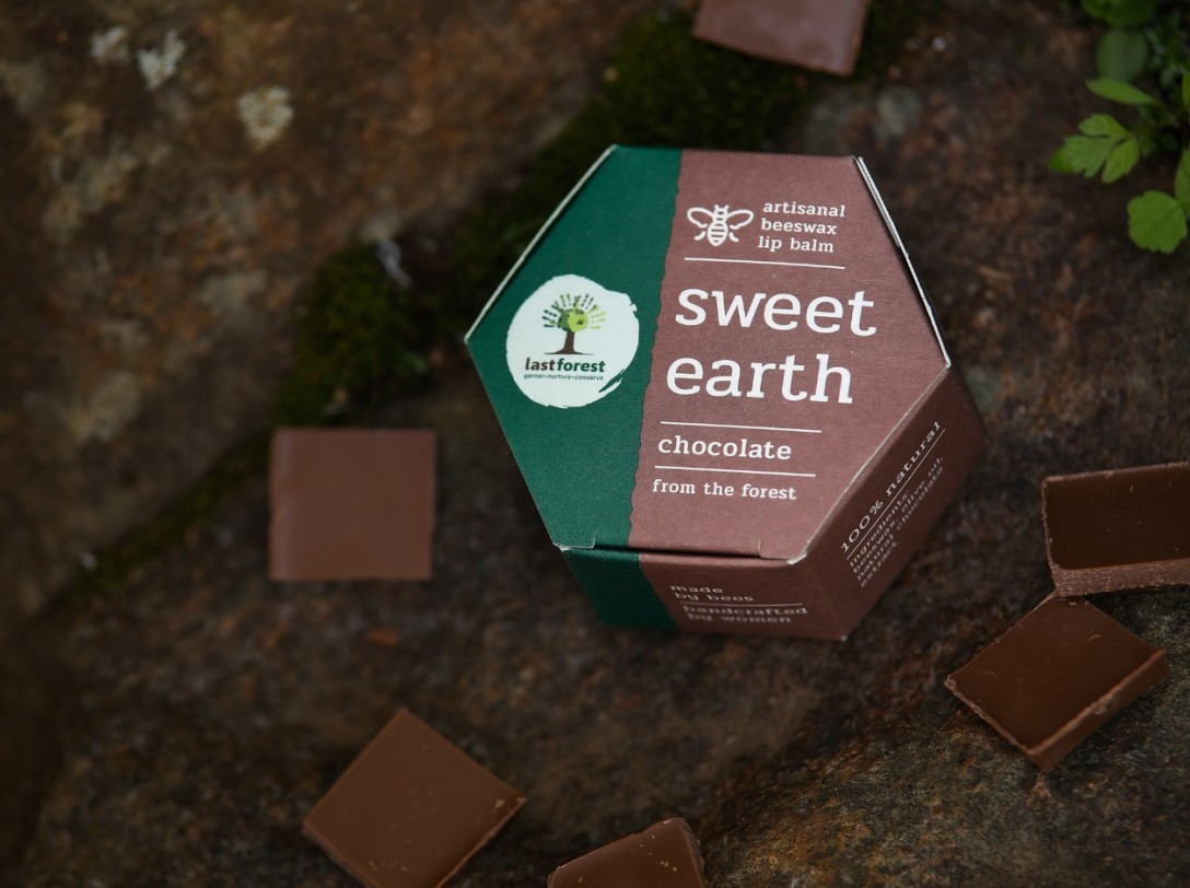 ?Last Forest 手工蜂蠟潤唇膏的包裝設(shè)計(圖7)
