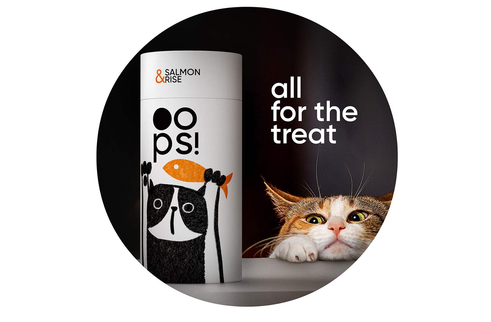 有創(chuàng)意的管狀寵物包裝設(shè)計(jì)欣賞食品包裝設(shè)計(jì)這樣做(圖2) 有創(chuàng)意的管狀寵物包裝設(shè)計(jì)欣賞食品包裝設(shè)計(jì)這樣做(圖2)