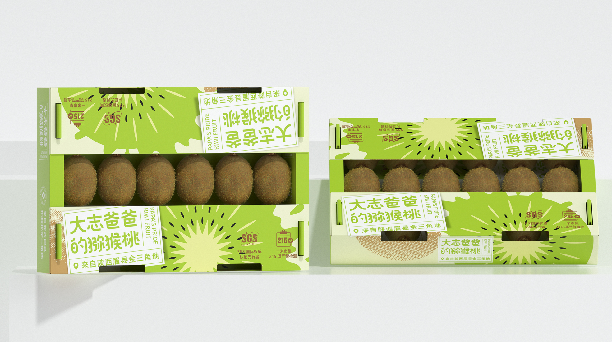 三亞水果特產(chǎn)芒果包裝設(shè)計(jì)(圖2)