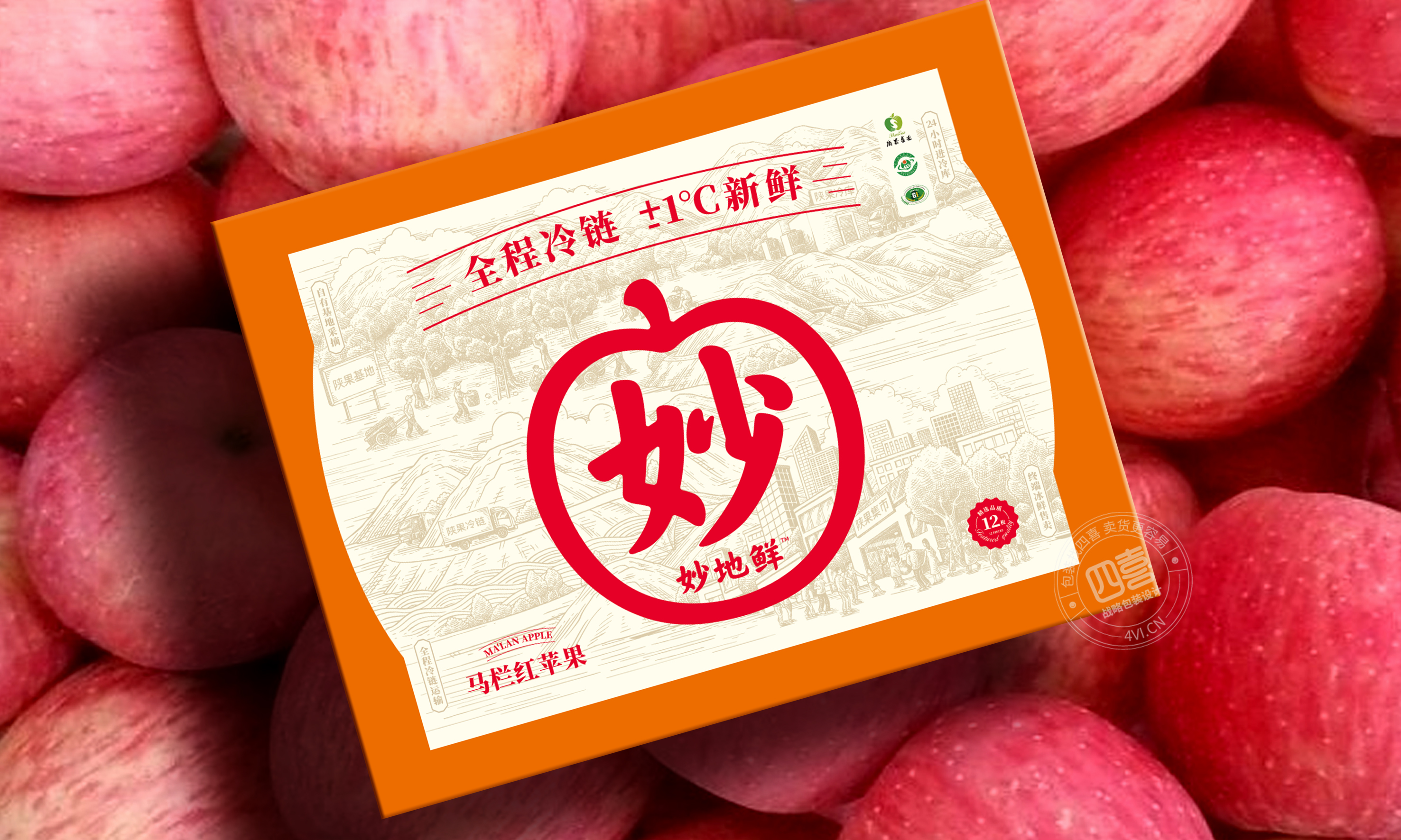 三亞水果特產(chǎn)芒果包裝設(shè)計(jì)(圖3)