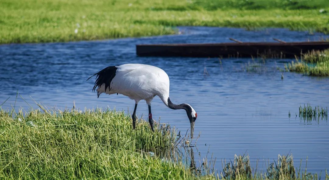 四喜：農(nóng)產(chǎn)品品牌很難做出差異？從產(chǎn)地入手發(fā)掘根本差異！(圖2)