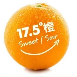 農產品包裝設計的“特殊性”(圖10)