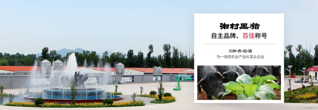 湘村黑豬 湘村黑豬品牌logo與食品包裝設(shè)計(jì)欣賞(圖3)