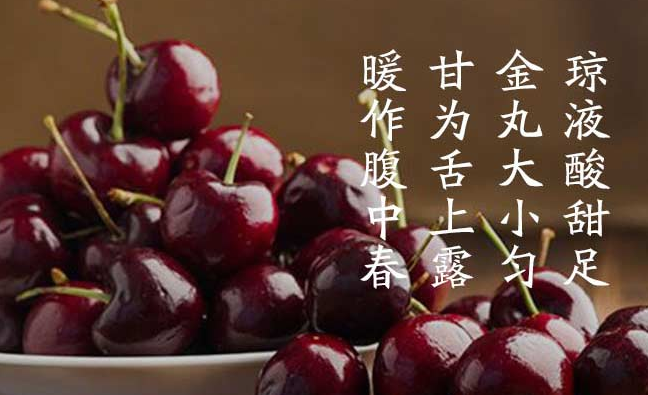 悠樂果品牌logo與食品包裝設(shè)計(jì)欣賞(圖2)