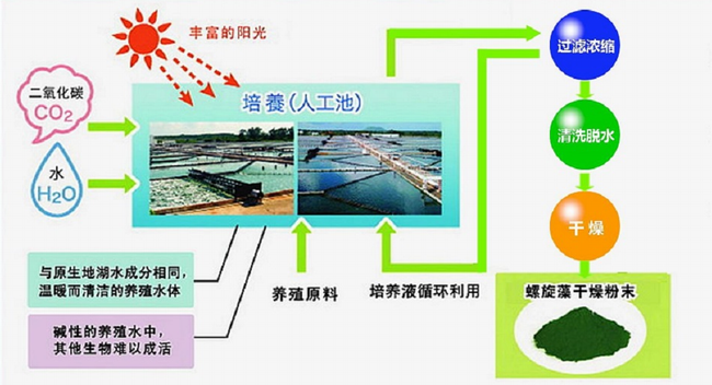 DIC迪愛生品牌logo與食品包裝設(shè)計(jì)欣賞(圖3)