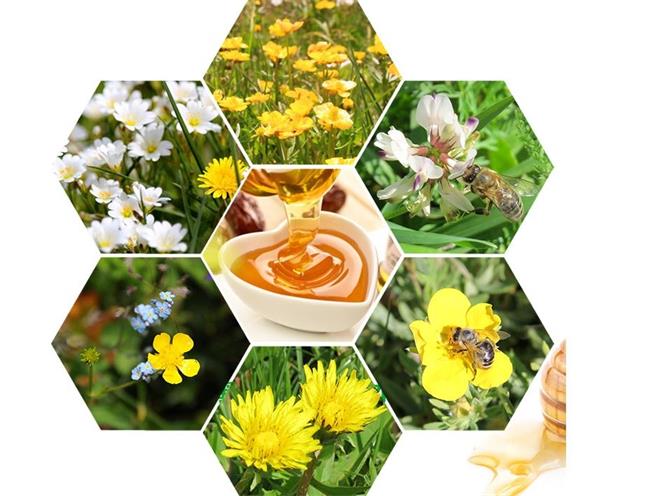 BAIXIN百信食品包裝設(shè)計(jì)欣賞(圖3)